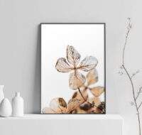 hortensia-blomma-tavla