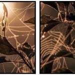 Gyllenbruna tavlor och naturmotiv