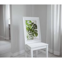 monstera-botanisk-tavla