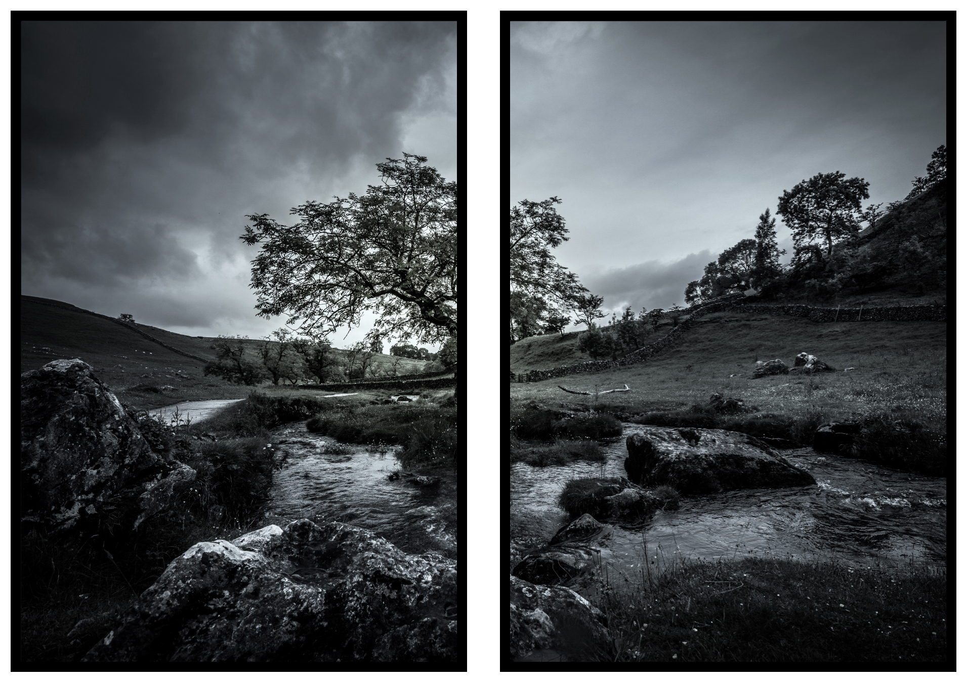 mork-natur-tavlor Originell tavla med mörkt naturlandskap