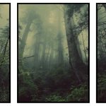 unikt tavelset med skog och dimma