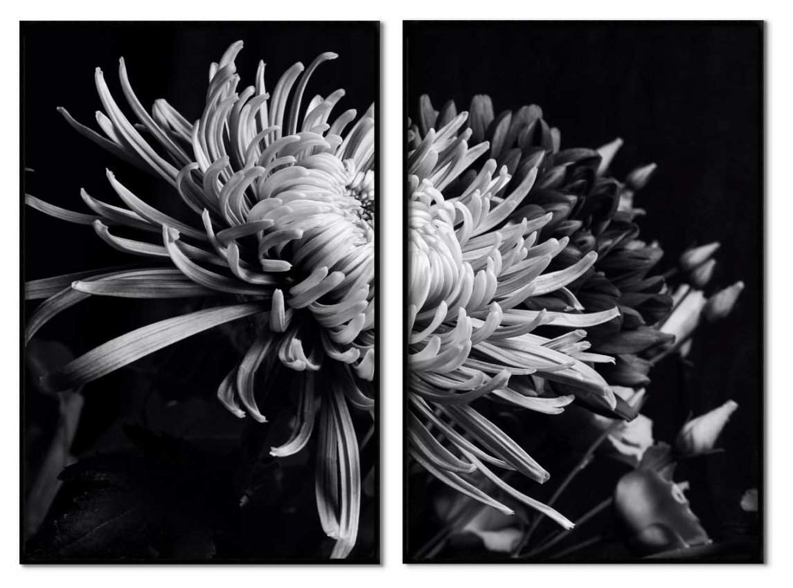 svartvita-blommor-abstrakt-tavla Vacker fotokonst blomma posters