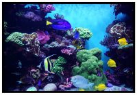 exotiskt-vatten-poster