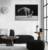 giraff-svartvit-tavla