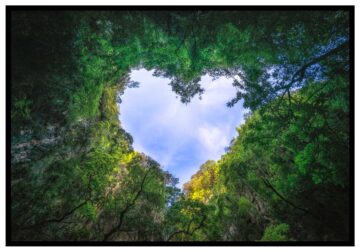 Magisk bild natur poster