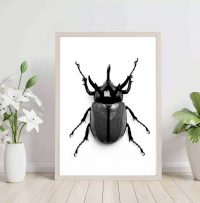 originell-insektstavla