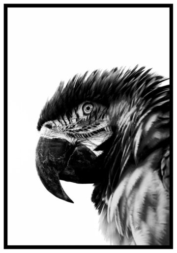 trendig tavla med papegoja i närbild