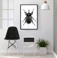 skalbagge-svartvit-tavla