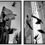 duvor downtown poster