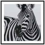 zebra affisch