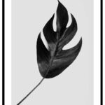 svart monstera tavla