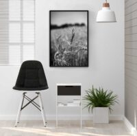 svartvit-fotokonst-affisch