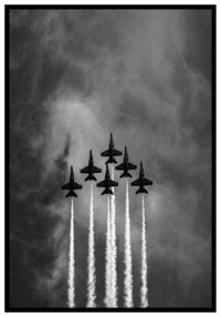 flyguppvisning-svartvit-affisch