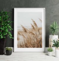 sommar-poster