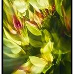 Abstract plants poster