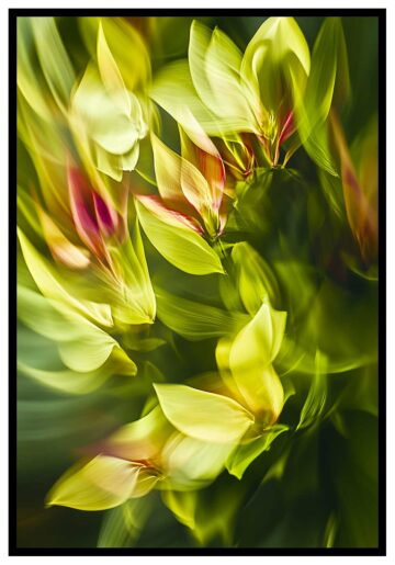 Abstract plants poster