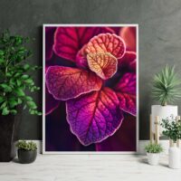 abstrakt-lila-blomma