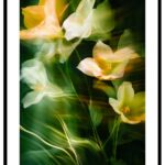 Botanical flower poster