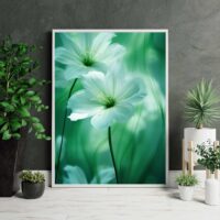 vacker-blomma-poster