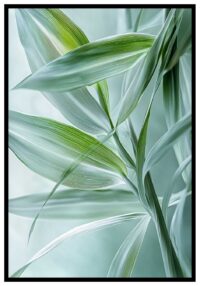 vacker-poster-mjuka-farger