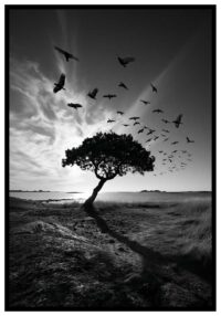 dramatisk-natur-affisch