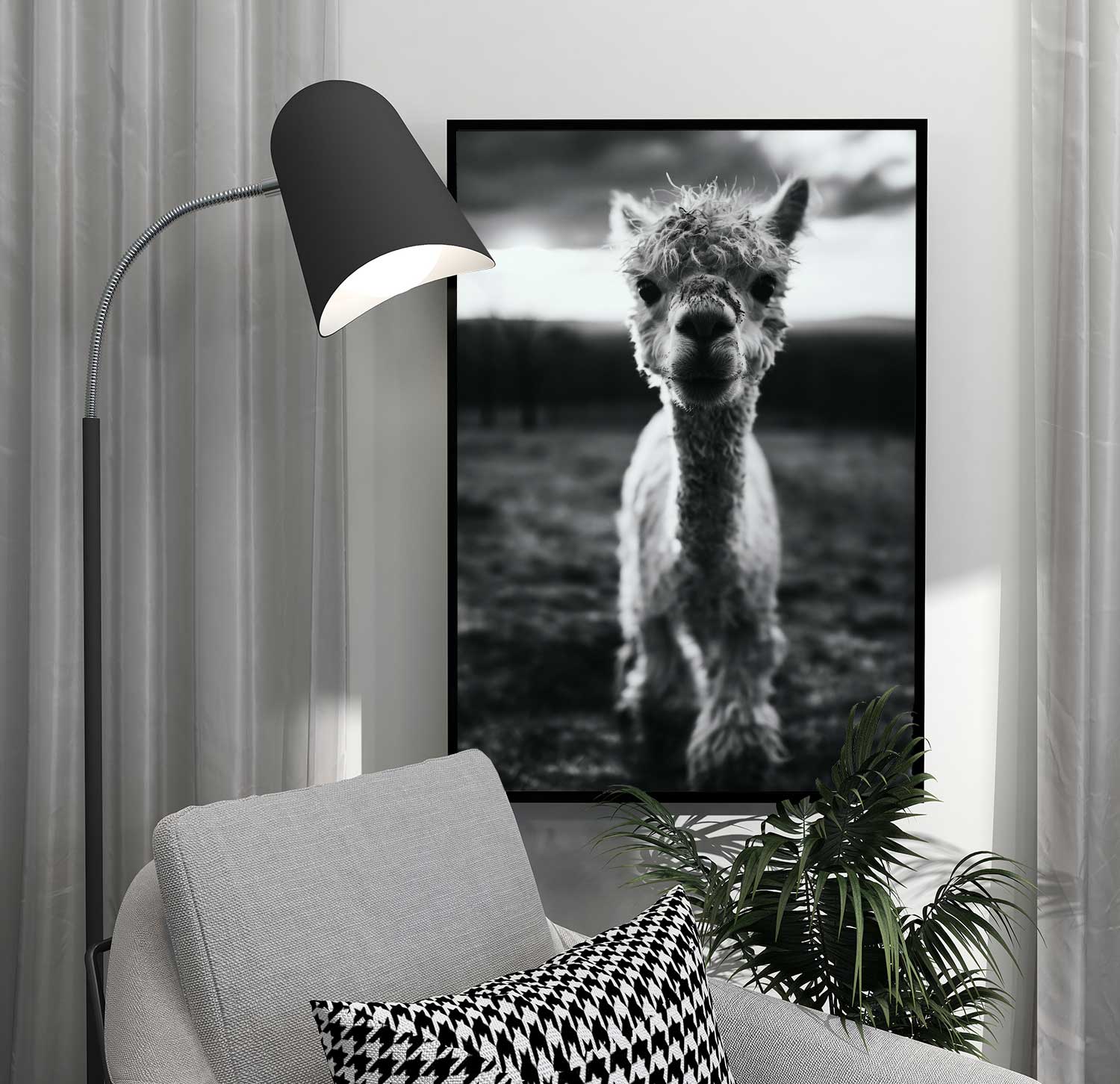 gullig-alpaca-poster Söt alpacka baby poster