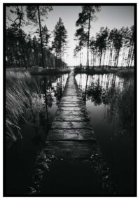svartvit-naturbild-plansch