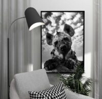 hyena-cute-poster